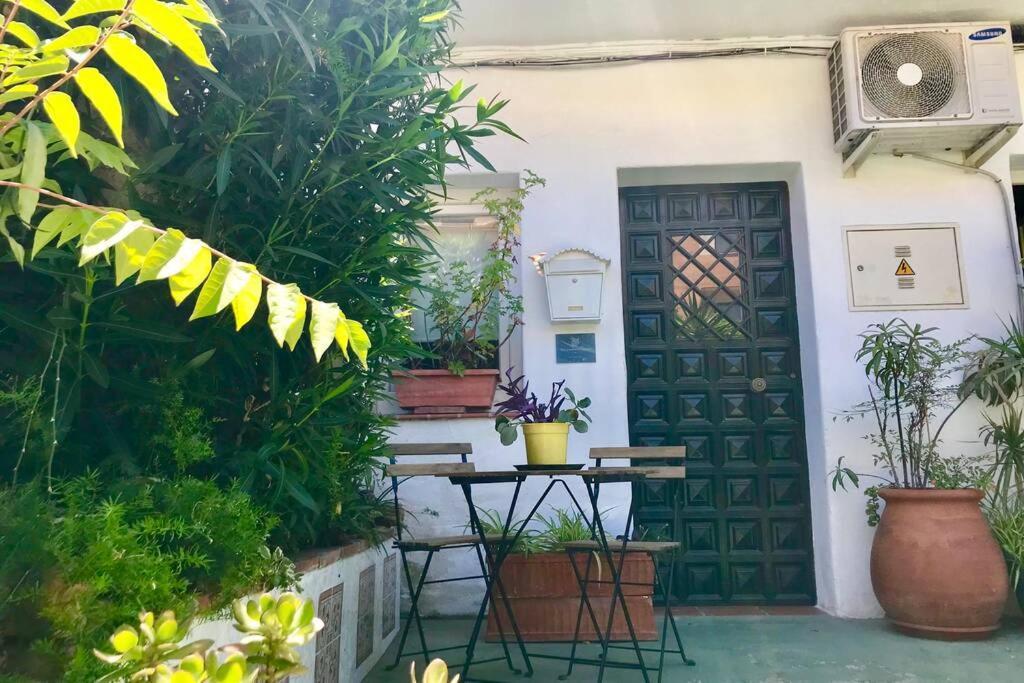 Apartament Tgh Acogedor Loft En Malaga Zewnętrze zdjęcie